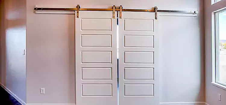 Glass Barn Door with Installation Hardware Kit Dartmouth